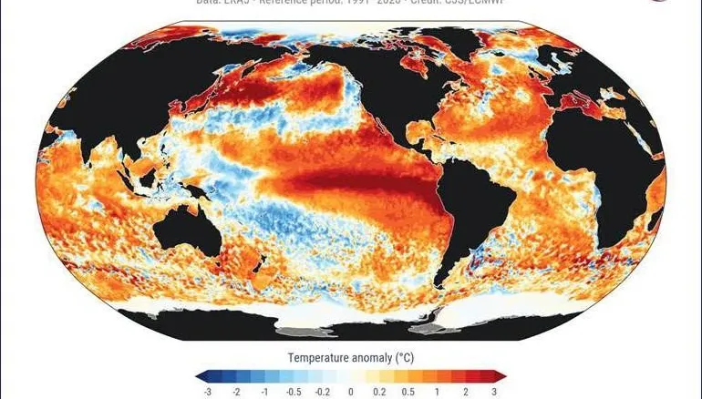 全球海溫飆21.1°C新高！賈新興：本次聖嬰恐創數十年最強