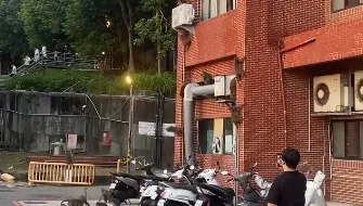 太震撼！中山大學宿舍獼猴「集體垂降」 網看傻：AI都沒那麼瘋