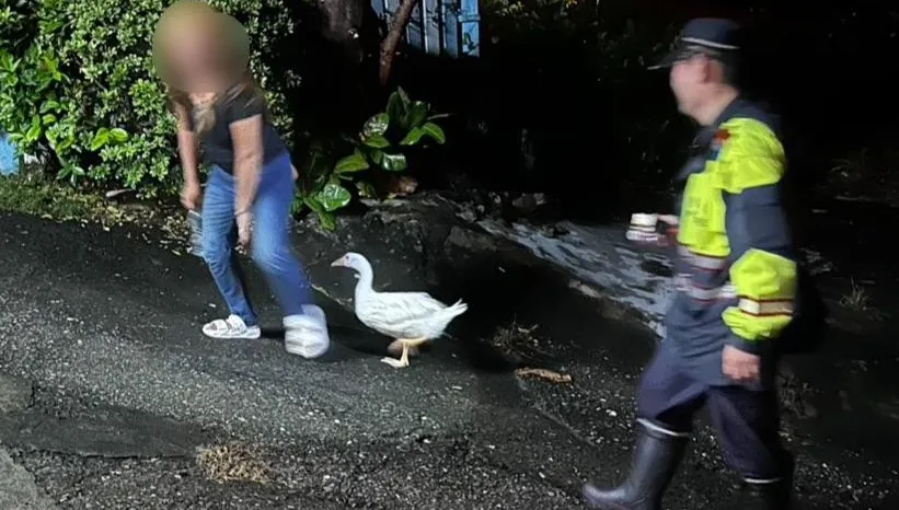 影/帶寵物鴨夜遊迷途！恆春男女困龍磐公園　凌晨自行脫困
