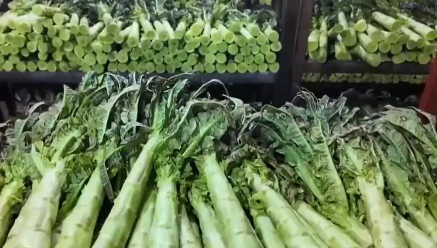 農夫白種！大陸蘭州銷毀11.8噸「染色萵筍」　當局緊急約談業者