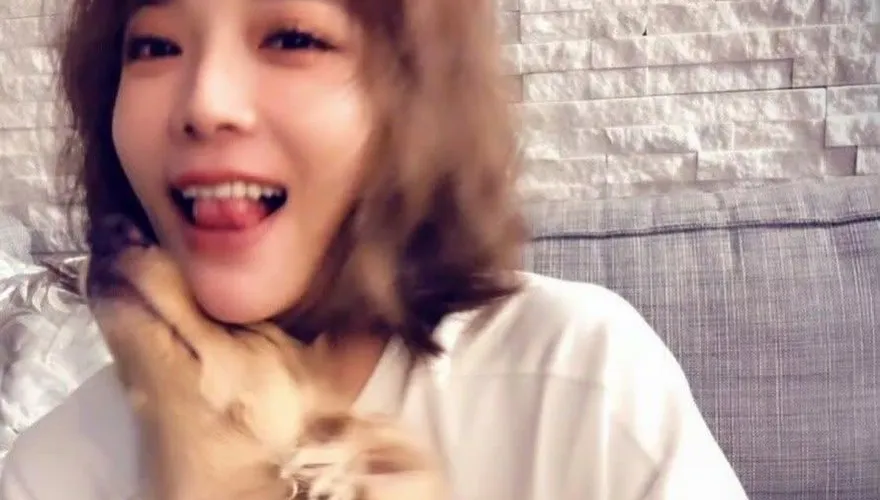 蔡淑臻曝生命轉捩點！遇流浪臘腸犬「腸腸」：是牠把我創傷治好