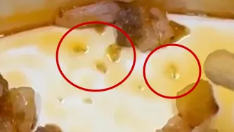 打拋豬飯驚見活蛆狂蠕動！女大生吃到見底崩潰　業者回應了