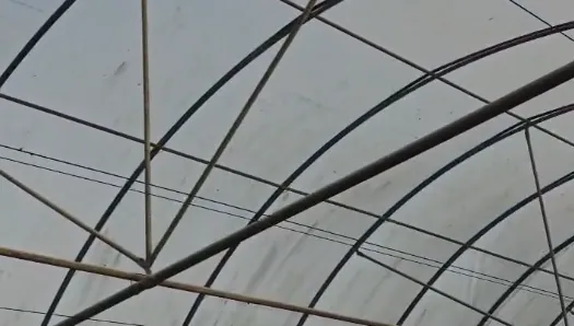 影/雲林西螺弓孝宮煙火落塵毀有機溫室！廟方致歉承諾全賠