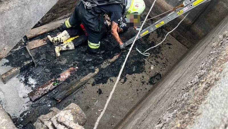 高雄路竹養豬場木板斷裂　76歲場主墜３米高化糞池獲救