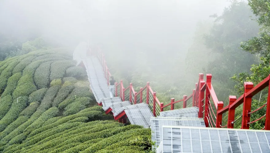 中秋連假訪嘉義！二尖山步道品嘗山中美食　茶園稜線賞山景