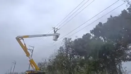 影/薔琵12級陣風狂虐！中彰慘淪重災區　破萬戶停電摸黑