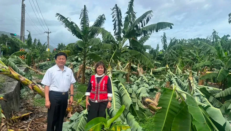 薔琵衝擊花蓮農業！傅崐萁忙勘災　喊話政院啟動災損評估