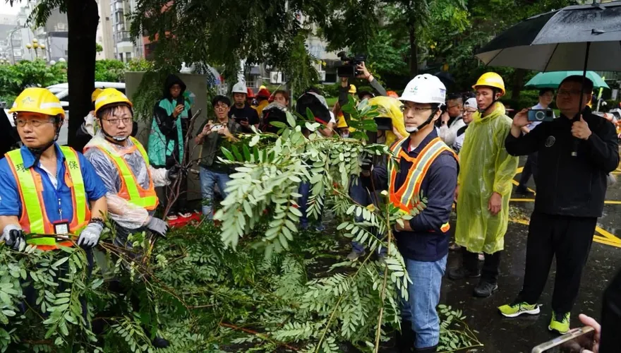 邀蔣萬安搬樹竟遭綠營出征！清潔隊長難過留言　市長暖心回應