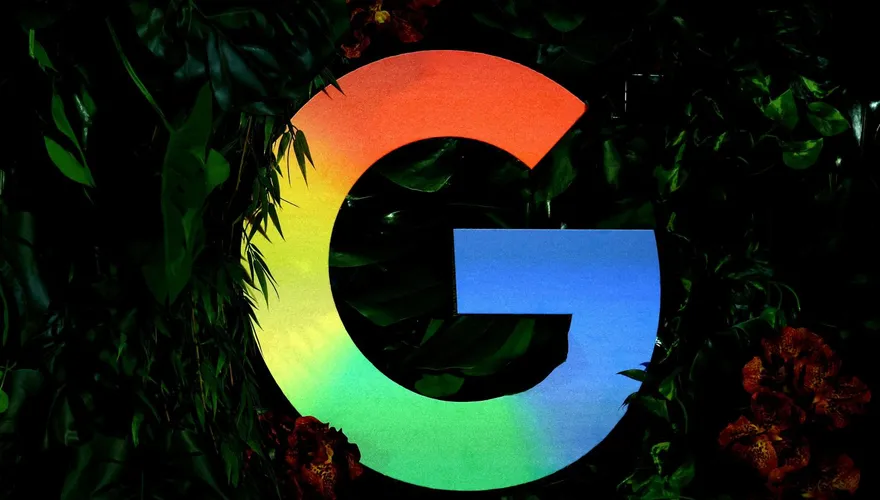 Google芬蘭建AI資料中心遭控違法砍伐25萬棵樹　當局下令停工