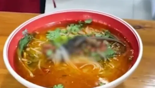 吃湯麵驚見碗中躺著「老鼠全屍」客人嚇壞　店家回應：牠從天花板掉下來的