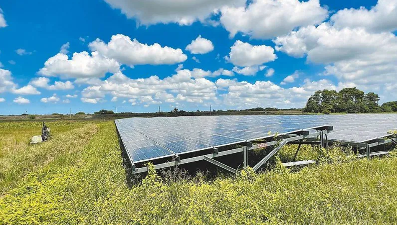 能源署宣布「綠能計畫」暫緩　雲林低地力種電遭縣府質疑