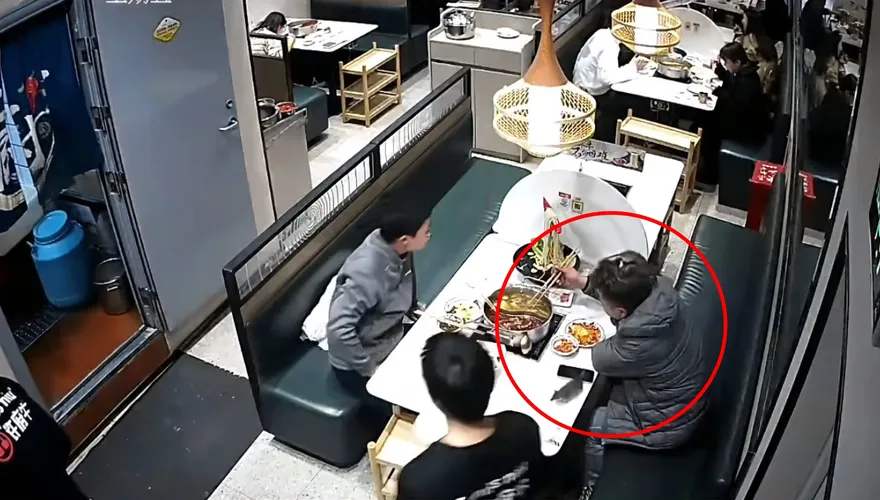 影/火鍋吃到一半突然「天降老鼠」　顧客頭皮遭抓傷控店家逃避責任