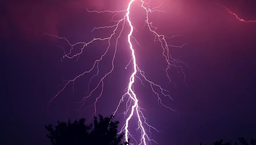 16名親戚搭船喝喜酒遇暴風雨　躲鐵皮棚下慘遭雷擊「婚禮變喪禮」