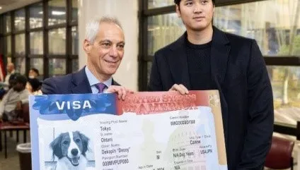 大谷翔平返日幫愛犬「辦美簽」！　駐日大使證實：Decoy擁「雙國籍」