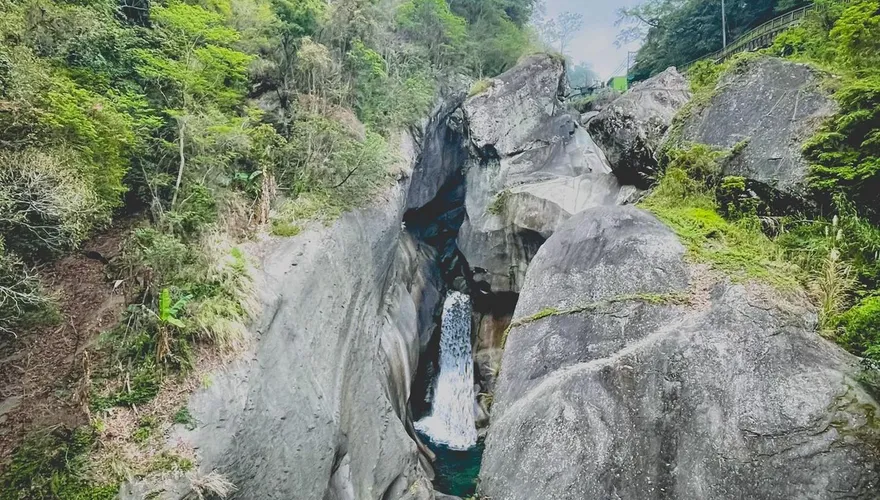 春節出遊/岩石動物打卡景點！斷鼻岩變「水豚君岩」尬場新竹尖石「青蛙石」
