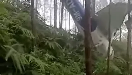 影/驚險畫面曝！大馬小飛機墜毀油棕園　「機頭朝下」撞爛致2傷