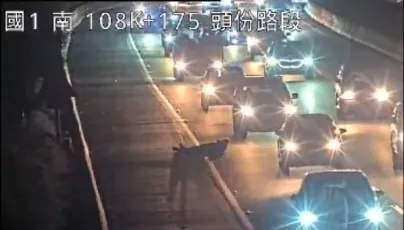 快訊/全台國道都是我的床？男子橫躺國1南下頭份段　汽車紛紛閃避「行動地雷」