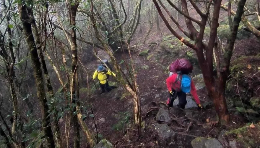 女山友獲救稱「沒丟包」！登山專家：隊友仍有錯才釀山難