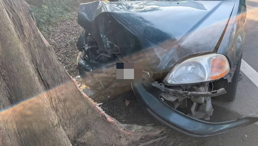 恐怖自撞路樹亡！轎車車頭「炸開全毀」　年節斷魂苗128線