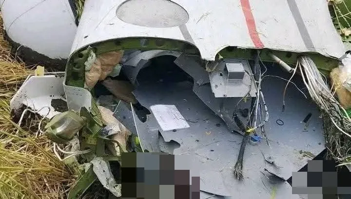 影/4人遇難！菲律賓私人飛機突墜毀　1水牛也遭殃