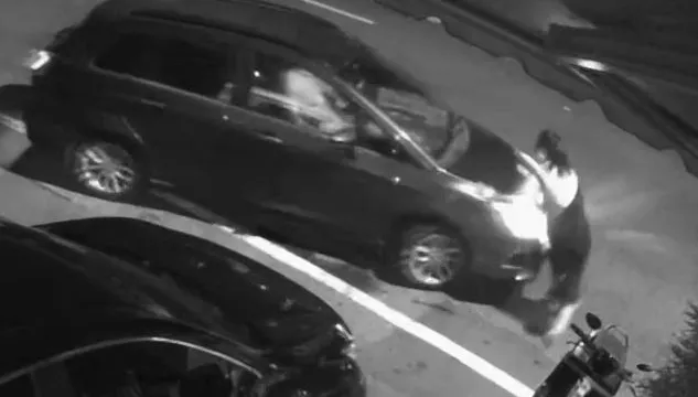 南投4寶人妻慘遭「抖音男友」輾斃！　凶車竟是「對方老公的」