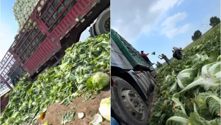 甲醛大白菜恐致癌　5類黑心食材煮熟也沒用