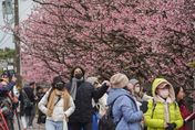 冷颼颼！春節連假尾聲17縣市低溫警戒　最新預測：桃竹苗恐「下探6度」