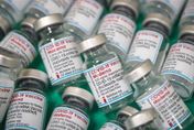 莫德納「次世代疫苗」來了！首批明到貨　指揮中心：41萬劑依比例配送各縣市