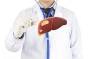 欣耀在美發表脂肪肝炎新藥臨床數據 積極尋求合作授權