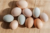 雞、鴨、鵝蛋哪種營養高？營養師：「這款蛋」小小1顆膽固醇卻很高