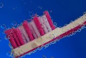 牙刷放浴室超NG！專家示警「恐成細菌棲息地」邊洗澡邊刷牙大忌