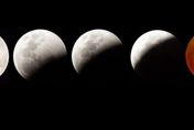 2322年後才再出現！「月掩天王星」只台灣能看　月全食更巧逢美期中選
