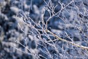 冬天來了！陸氣象局發佈今年首次「暴雪藍色預警」　內蒙古、吉林等地恐積雪