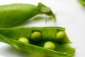 豌豆知多少？農糧署：最常吃的５種類型