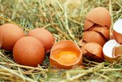 「蛋」營養！7個優良蛋白質來源　營養師曝它蛋白質最多