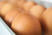 雞蛋保存有眉角不能隨便放！譚敦慈揭雞蛋保存「這樣做」蛋會壞得快！