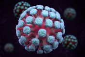 新冠病毒會被吞食？科學家首次發現「專吃病毒」神奇微生物