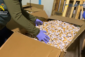 烏克蘭難民擠西班牙私菸工廠求生　日產54萬包私菸犯罪集團頭目吃香喝辣