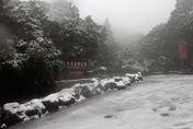 快訊/寒流來襲！陽明山、拉拉山「午夜前有望下雪」　車輛需掛雪鏈才准上山