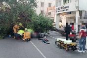影/風好大！台中市爆兩起路樹倒塌意外　合計3人受傷送醫