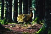 渡渡鳥滅絕逾300年！昔日因外來物種獵殺滅種　科學家盼藉科技讓牠復活