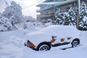冬季風暴橫掃希臘！大雪影響首都雅典　學校法院關閉