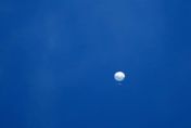 「不明氣球」遭爆料曾出現總統府上空！國防部發出正式聲明