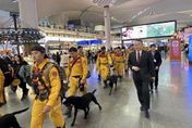 影/台灣搜救英雄回來了！土耳其機場響起5分鐘掌聲致謝