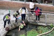 影/台北市立動物園驚傳意外！國小男重心不穩踩空　下秒失足掉進水池