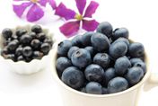 水果界的「藍寶石」！表皮白粉能吃嗎？專家解答「1招秒知新鮮度」