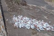 腐爛惡臭！惡劣攤商200顆白帶魚頭丟河堤　到案稱「貪圖方便」遭開罰