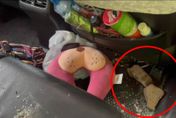 快訊/宜蘭台7甲線傳落石擊中轎車！女乘客遭「磚頭大小砸頭」撕裂傷