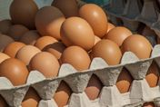 國內蛋荒有解了！「土耳其雞蛋」有望成為下波雞蛋輸入地