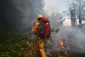 手機警報大響！林務局簡訊通知「森林火災警戒」　8縣市呈最危險等級